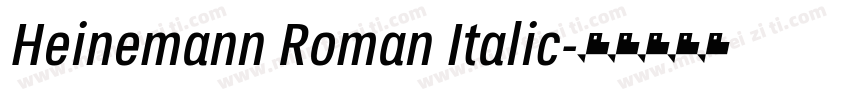Heinemann Roman Italic字体转换